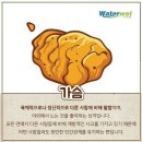 꼬꼬댁 이미지