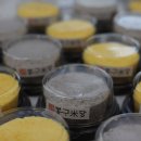 봉구랑 도도 이미지