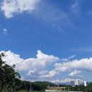 시골마을 처마끝에 앉자서 본 하늘이 너무 이뻐서 폰에 담아봤어요 파아란 하늘에 떠있는 하얀뭉개 구름 너무나 아름답습니다 이미지