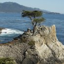 크린광주 이미지