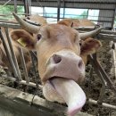 한희농장 이미지