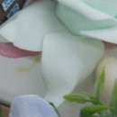 대진상공 | 안면 비대칭 교정 후기 확인 시 체크할 부분은?