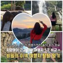 (주)로얄문화투어 | 치앙마이 근교 택시 투어 매왕 치앙다오 싼캄팽 치앙다오 몬쨈 여행지 비교 5곳