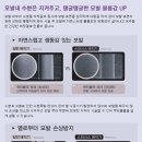 스파시스 네이버블로그