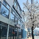 권세림아카데미