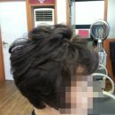 엠스헤어 네이버블로그