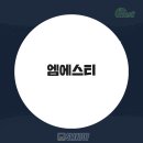 엠에스티 이미지
