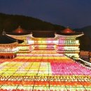 삼광사 티스토리