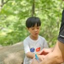 유아 숲체험원 아차산 긴고랑로 계곡