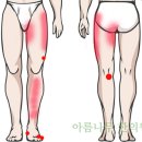 아름나무한의원 이미지