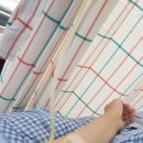 우리호병원 이미지