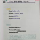 네이티브영어회화A 이미지