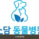 소담동물병원 - 수원시 장안구 하률로 9 | 소담동물병원