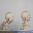 SNPE 바른자세 척추운동&목·어깨 통증테라피 이미지