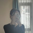 하노버 | 🇩🇪 일주일 독일 여행 후기 [하노버/베를린/함부르크]