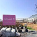 외길농장 | 딸기체험농장 동물먹이주기 등 포레스트벨에서 알차게 하루즐기는방법