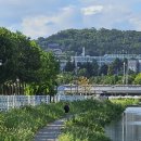 대구광역시청 산격청사 이미지