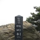 [4월 11일(토요일)]청계산에 오르다 이미지