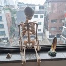 보컬레슨 비용 학원마다 다른 이유와 가격 선택 기준 정리