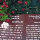 가덕사 석조여래입상 이미지