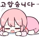 리안 동물병원 이미지