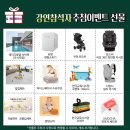 케이맘스(K맘스) 이미지