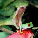 생명의 그물 2 이미지