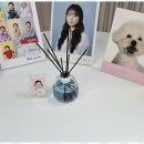 소사벌사진관