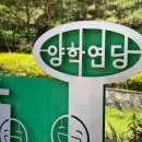 양학농장 네이버블로그