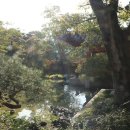 호암가든 이미지