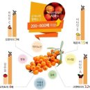 비타민태권도 이미지