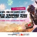 까멜리오 이미지