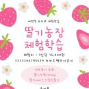 선민농장 네이버블로그