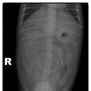 유앤동물병원 이미지