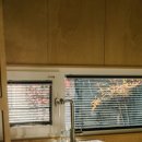 구례스테이 이미지