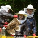 영양지구대 이미지