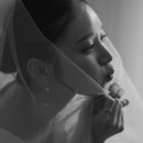 시그널결혼정보