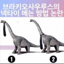 오늘은 꽃단장 네이버블로그