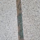 운양초등학교 이미지