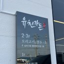 초록마을 강릉유천점 | 강원도 강릉 사근진 순긋해변 맛집 유천가든 내돈내산 후기(오삼불고기, 짬뽕초당순두부)