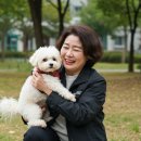 와우동물메디컬센터 이미지