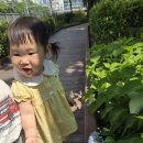 월천근린공원 Daum카페