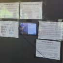 홈플러스 북수원점 | [수원 조원동 맛집] 우리동네 스시카야 회전초밥 점심 웨이팅 주차 10년째 수원초밥 1등인 이유