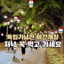천아트(야간) | 천안 독립기념관 야간개장 야경명소 가을 가볼만한곳 단풍나무숲길