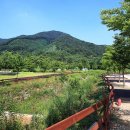 연산황산벌 오토캠핑장 이미지