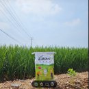 계룡마트 이미지