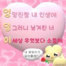 차문화공간루치아의뜰 | '좋아'와 '편해'는 바다와 하늘처럼 닮아 보이지만 전혀 다른 것이다.