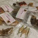 단이단비네 이미지