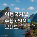 조약국 | 6. 여행 국가별 추천 eSIM 브랜드 🌍