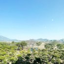 VIP골프존 이미지